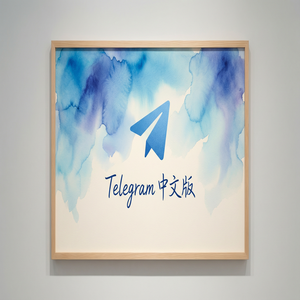 纸飞机中文版聊天记录备份教程（2025更新） - Telegram 官网